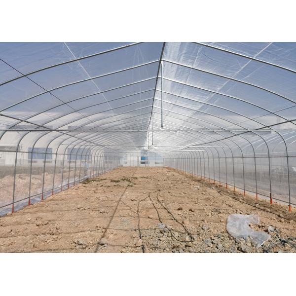 Economical Easy Installation Polycarbonate Greenhouse Kits Heavy Duty Poly Tunnel