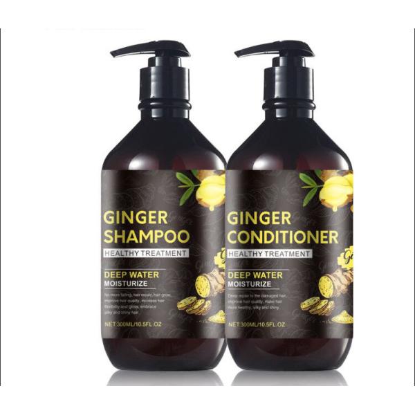 Danddruff Sulfate Free Ginger Hair Shampoo , Natural Vegan Hair Shampoo Argan Oil