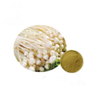 Quality Brown Yellow Fine Enoki Mushroom Extract Strengthen Immune System HPLC Test Method for sale