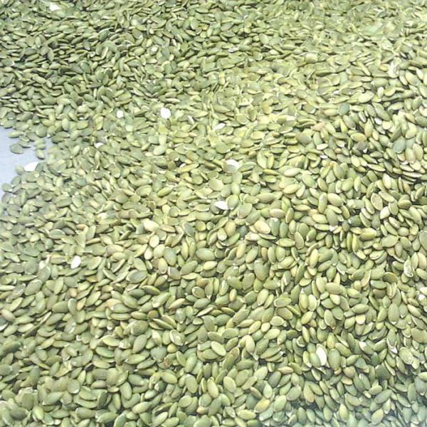 Low Calorie Raw Sprouted Nuts , Pumpkin Seed Kernels Size Sieved Nuts