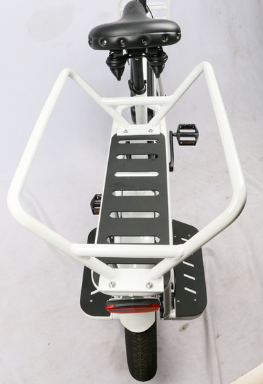 48V 750W 2022 Electric Fat Tire Bike child seat , Electric Fat Tire Bicycle double battery 90-110KM