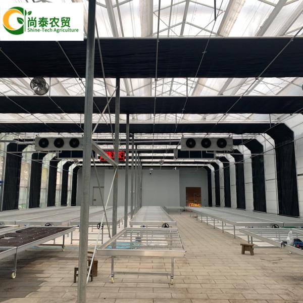 Hot Dip Galvanized Steel Frame Movable Bench Automated Light Deprivation Greenhouse