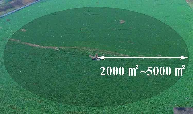 Weed Reed Harvester Lake Weed / Duckweed / Reed / Floating Algae Harvester Machine