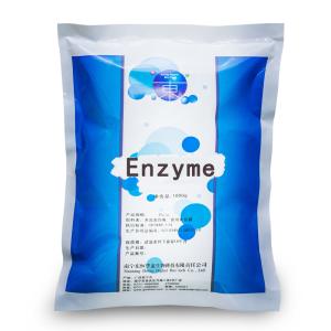 Food Grade Transglutaminase Enzyme 1000U/G Providing Enzyme Preparation Sample