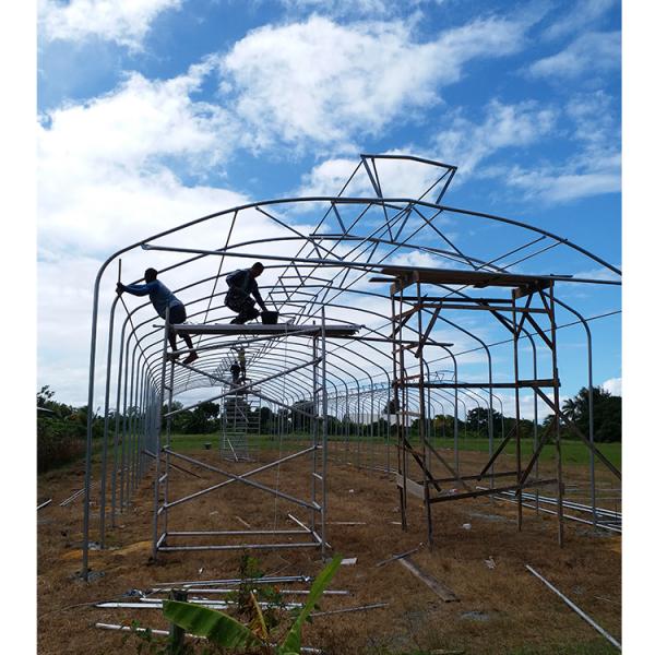 150 Micron Single Span Greenhouse Plastic Film Greenhouse Natural Ventilation Umbrella Roof Vent