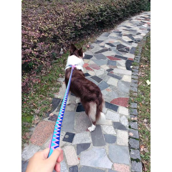 Heavy Duty Long Retractable Dog Leash Collar 26ft For Large Dogs