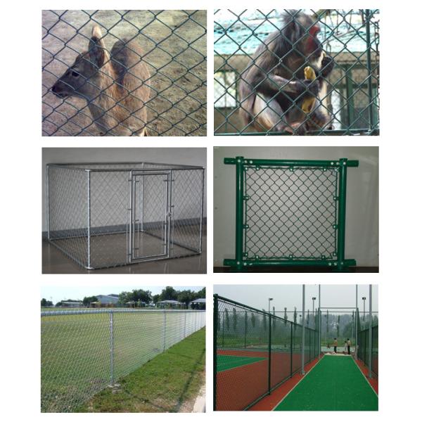 Heavy Duty 50ft L/Roll Anti Climb Chain Link Fence With 100x100mm Mesh