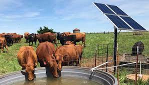 MPPT Controller Solar Water Pump System With Stainless Steel DC Brushless Motor