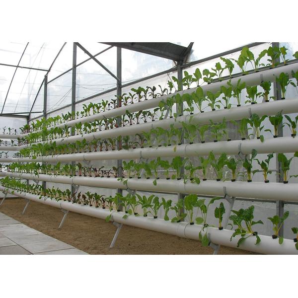 Multi Tier NFT Hydroponics System Strong Adaptability For High Density Planting