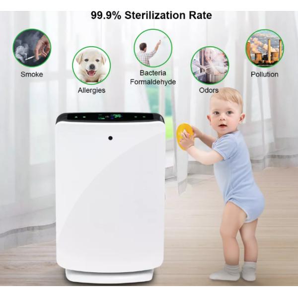 Air Purifier With True HEPA Filter and Humidification Allergies Air Purifier