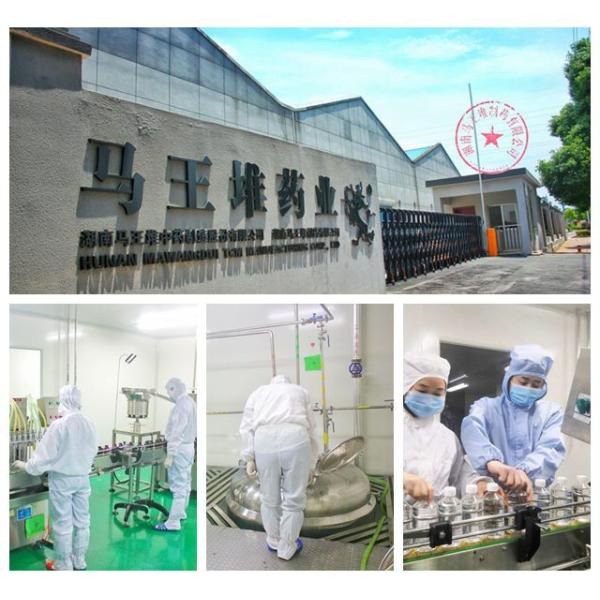 Powder Free Powdered Disposable Vinyl Gloves S M L XL Size