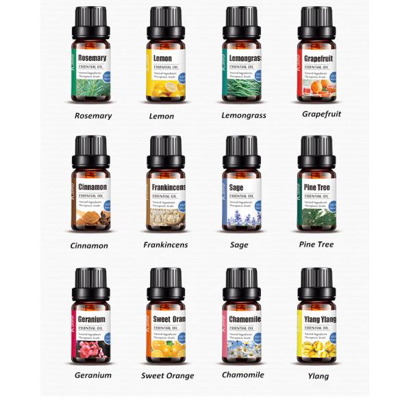 Wholesale 10ml Natural 100% Pure Essential Oil For Aroma Diffuser Body Facial Care SPA Fragrance Aromatherapy