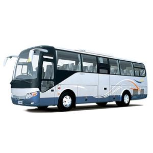 China Henan Zhun Sheng Trade Co., Ltd. logo