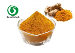 Quality Food Preservative Turmeric Extract Curcuma Longa L Extract Powder for sale