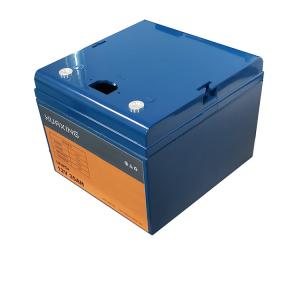 Deep Cycle 35Ah 12V LiFePO4 Batteries BMS Rechargeable LFP