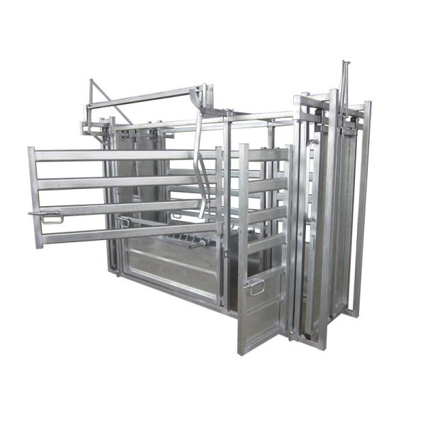 Heavy Duty Cattle Panels With Weight Scale , Safe Metal Livestock Panels