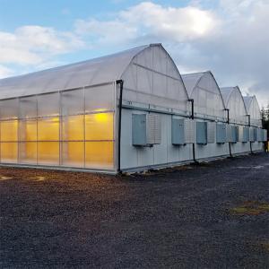 BAOLIDA 20 X 40 Polycarbonate Tunnel Automated Blackout Greenhouse