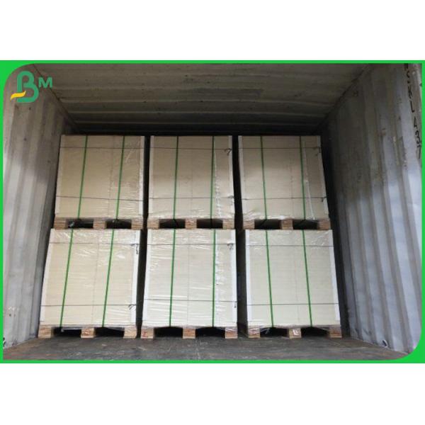 cupcake holder paper