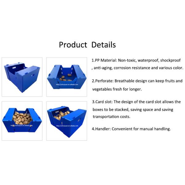 Vegetables Fruits PP Corrugated Plastic Storage Boxes