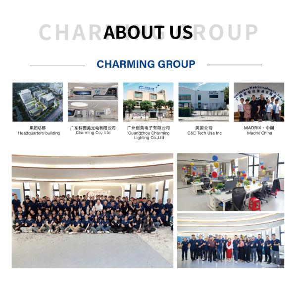 Super Thin Indoor Full Color LED Display High Resolution 2.98mmm MD Series Screen