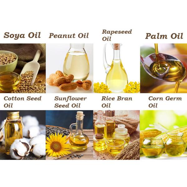 Low Temperature Cold Pressing Equipment Peanut Oil Seeds Processing