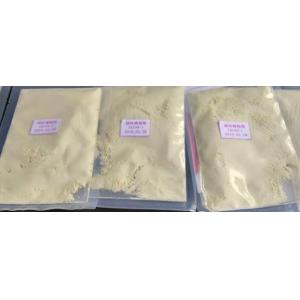 Spices Pure Wasabi Powder Wasabi Paste Tube Vacuum Package