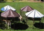 Powder Coating Metal Outdoor Dog Kennel House With Waterproof Cover