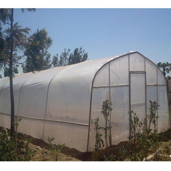 Vegetable Single Span Greenhouse Customized Small Outdoor Greenhouses IGreen