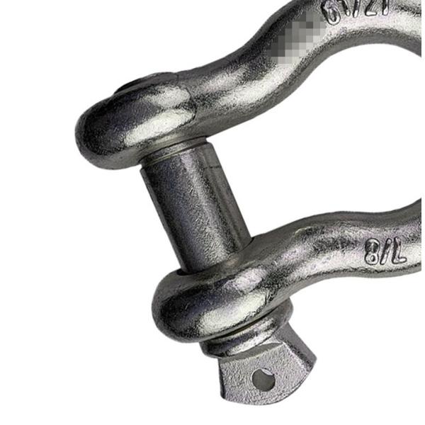 ISO9001 Durable D Shackle Screw Pin Type Heavy Duty Stainless Steel