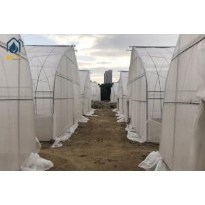 Agriculture Tunnel Greenhouse Galvanized Steel Frame Single Span Greenhouse