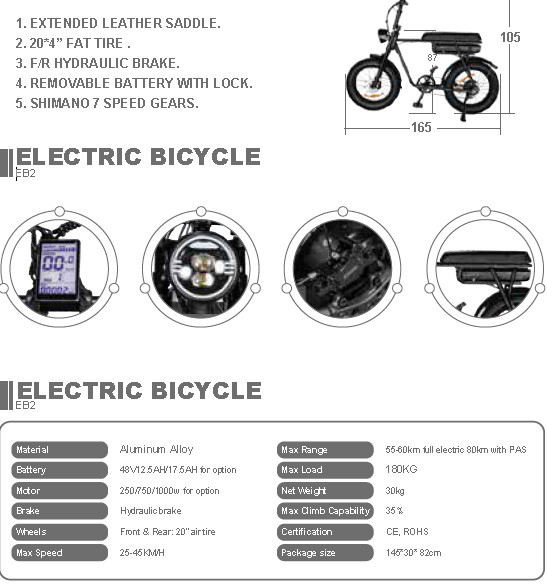 EB2 20" X 4.0 Fat Tire Electric Bike With 200KGS Max Loading