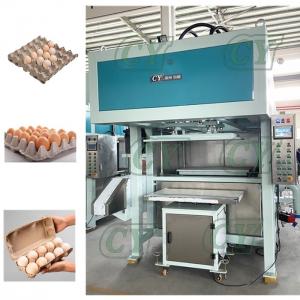 Quality Automatic egg tray machine egg carton machine pulp molded production line for sale