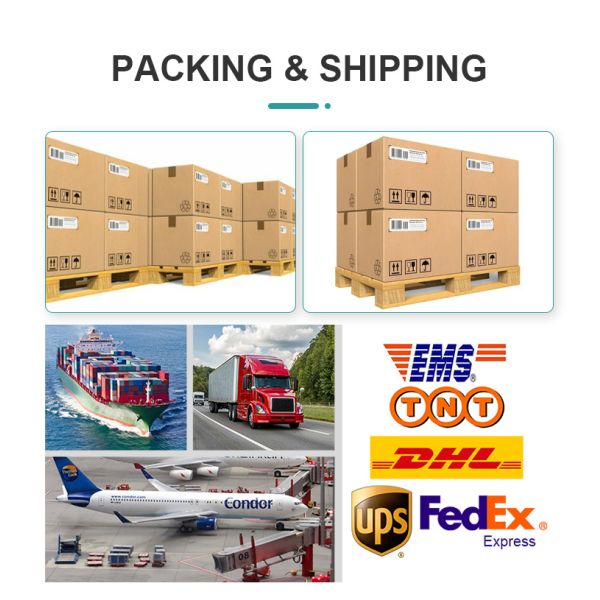 45L Forced air drying oven Electric hot blast drying oven