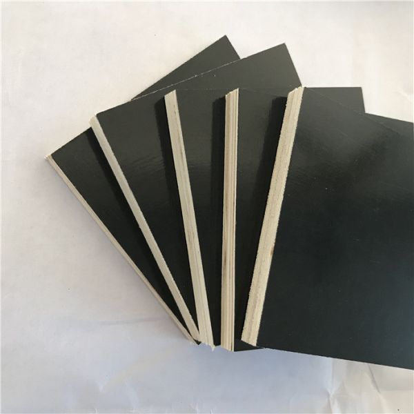 No Seasonal Effect WBP Phenolic Faced Plywood Sheets 10%-15% Moisture