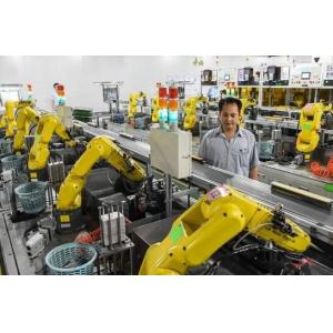 Electronic Robotic Packaging Machinery , Robot Packer 12 Months Warranty