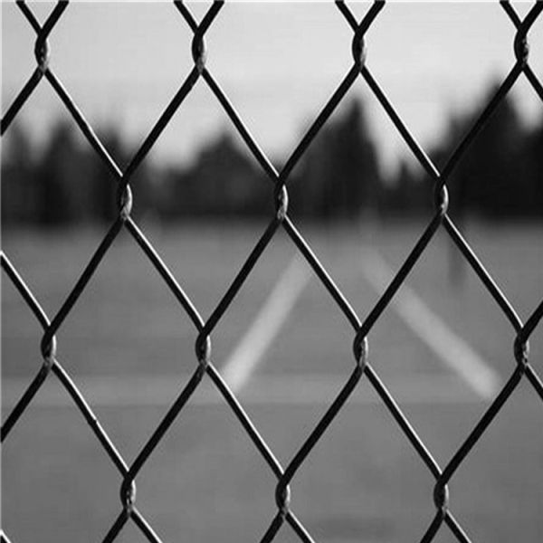 50ft Cheap Anti Climb Decorative Tension Wire 8 Gauge Chain Link Fence Galvanized Roll