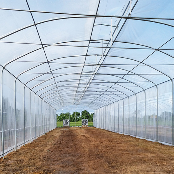Insect Proof Single Span Greenhouse With High Roof Fixed Windows Green Poly House