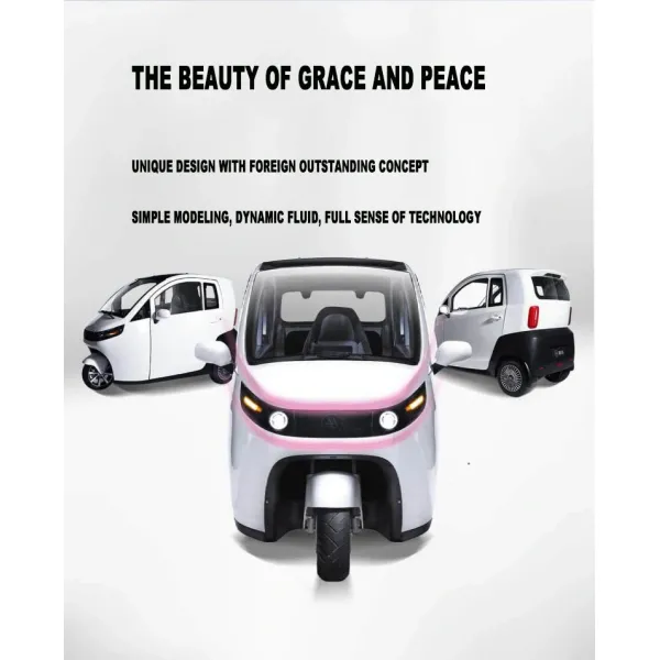 Raysince New Design Three Wheel Electric Car with EEC Certificate