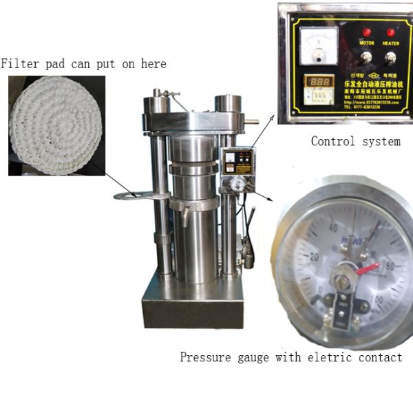 sesame oil cold press machine Sunflower Oil Making Machine Fully Automatic