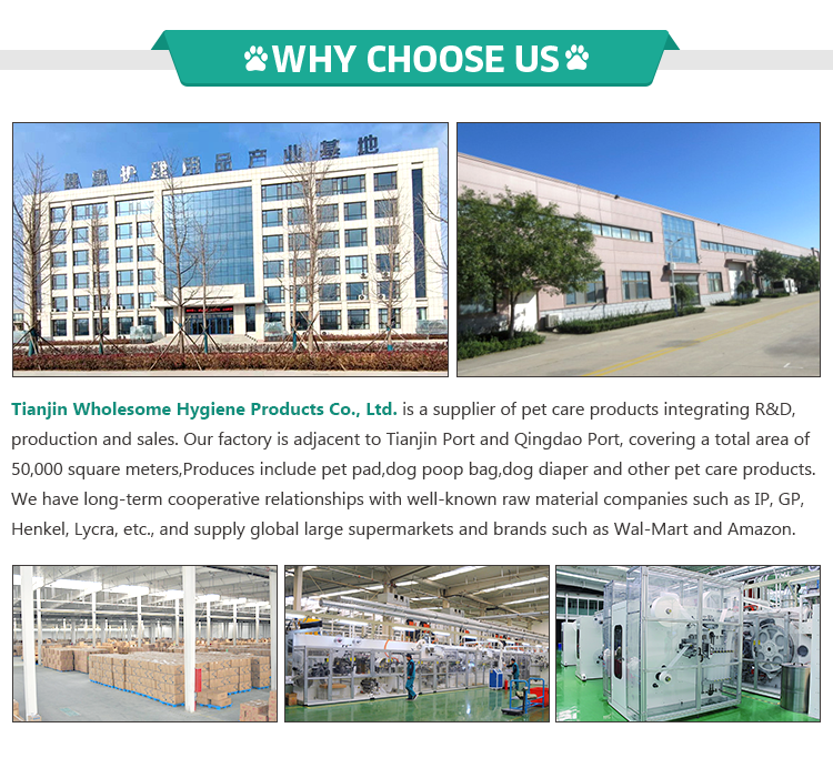 Pet Custom Printed Dog Poop Bags Plastic Biodegradable Eco Friendly