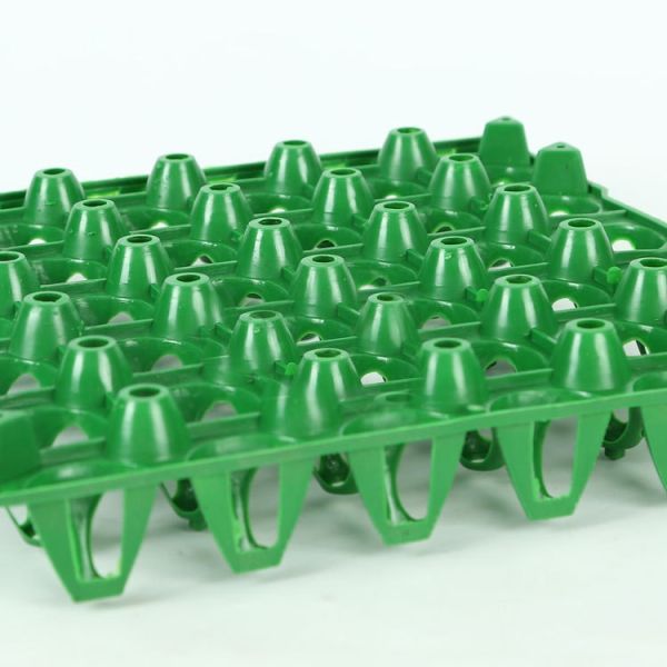 297mm Colorful Hard Yellow PET Plastic Blister Packaging 150g Plastic Egg Tray