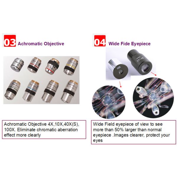 Double Layer Mechanical Stage Inverted Fluorescence Microscope 230×150mm NCH-B2000