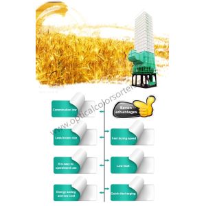 Quality Steel Biomass Furnace 9.95kw 30 Tons Rice Paddy Dryer for sale