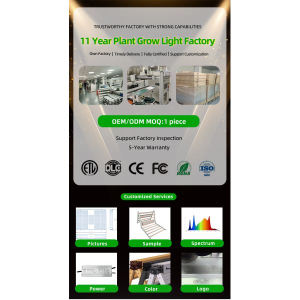 Dimmable Top LED Grow Lights Full Spectrum 800 Watt LED Grow Light