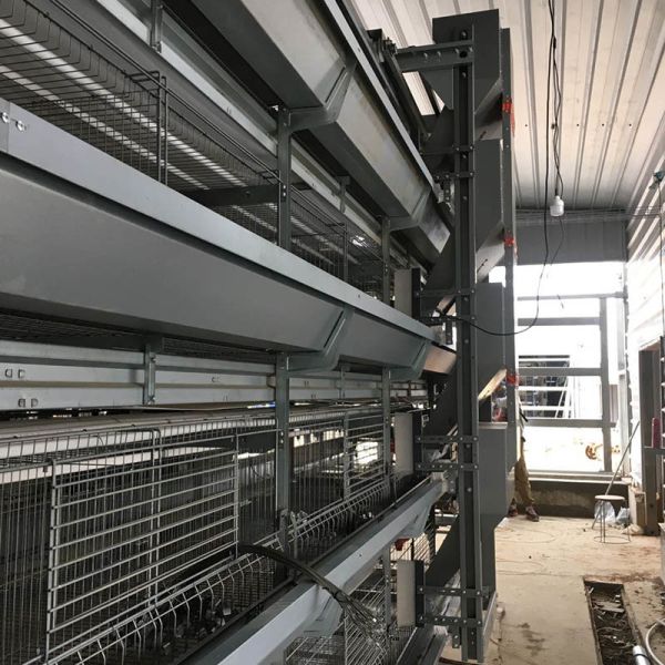 24.5in Width Egg Laying Chicken Cage 10 Birds / Cage Hopper Feeding