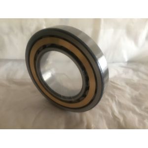 Large Diameter Steel Cylindrical Roller Bearings NU1026 130*200*33mm
