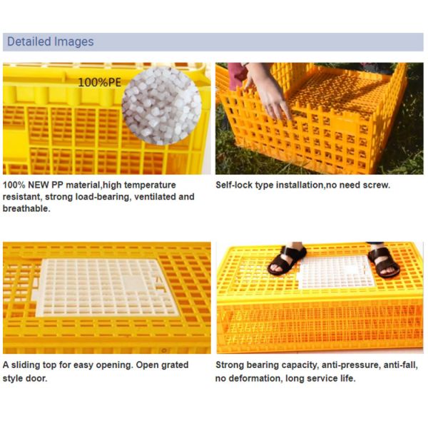 Poultry Broiler Quail Pigeon Plastic Chicken Transport Cages