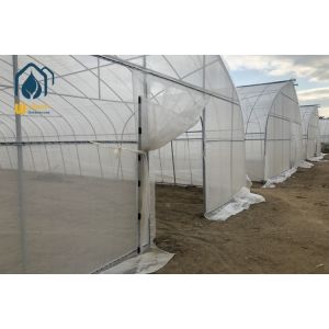 Quality Commercial Industrial Single Span High Tunnel Tomato Plastic Agricultural Greenhouse for sale