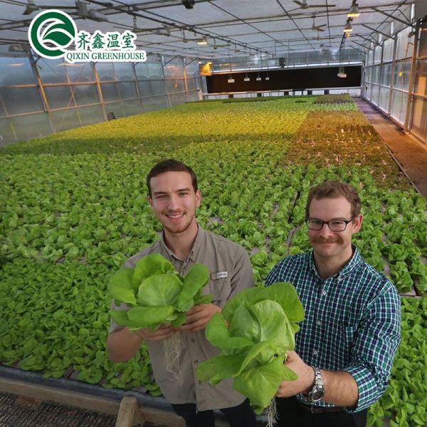 Hydroponic Supplies for Single-Span Greenhouses Cooling Irrigation Ventilation and More