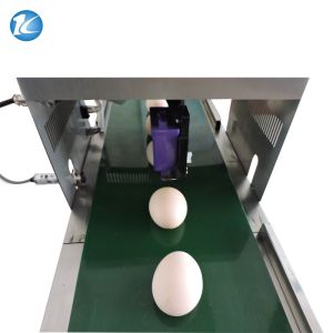 High Performance Egg Stamping Equipment Batch Coding Machine Easy Operation
